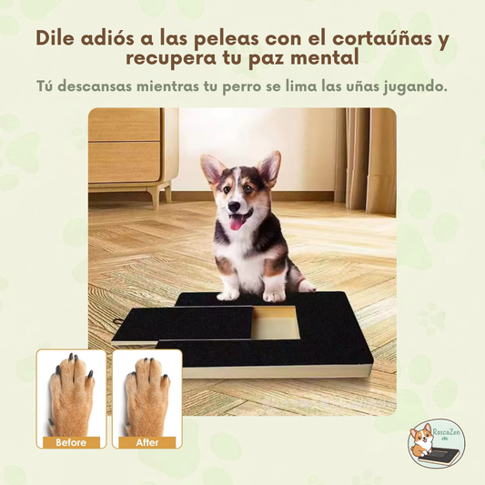 RascaZen™ | Tablero Rascador Interactivo