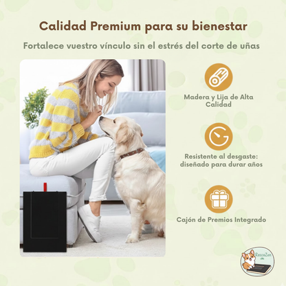 RascaZen™ | Tablero Rascador Interactivo