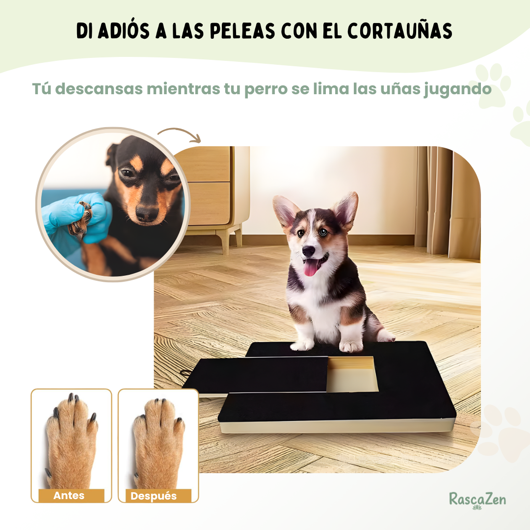 ScratchZen™ | Interactive Scratching Board