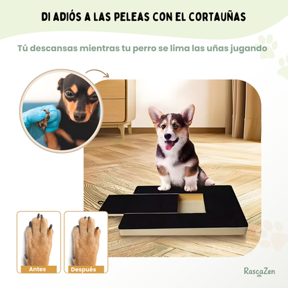 ScratchZen™ | Interactive Scratching Board
